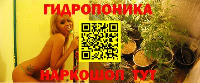 каннабис Владимир