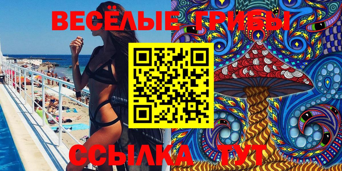 Отрадное  Псилоцибиновые грибы Psilocybine cubensis  Вход с VPN 