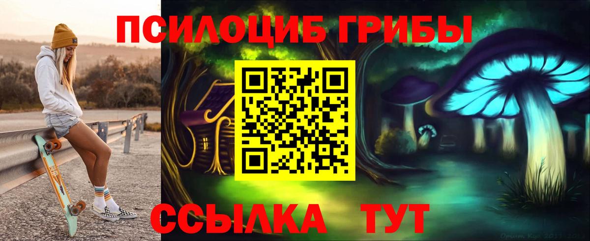 Галлюциногенные грибы Cubensis Отрадное